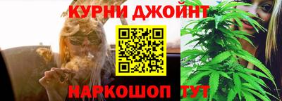 гашик Донской