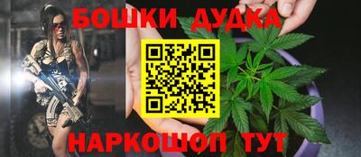 гашик Донской