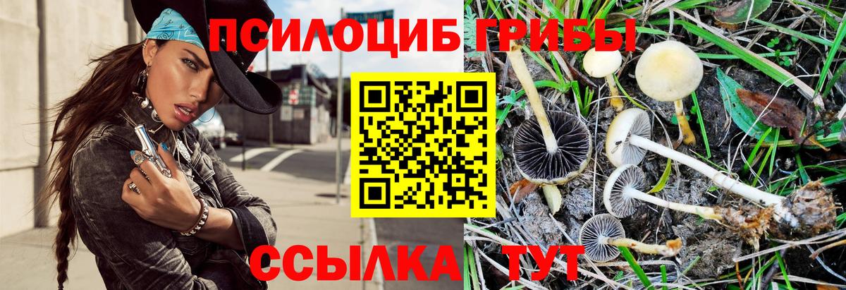 Псилоцибиновые грибы MAGIC MUSHROOMS  Галлюциногенные грибы Cubensis  Дивногорск  Вход с VPN 
